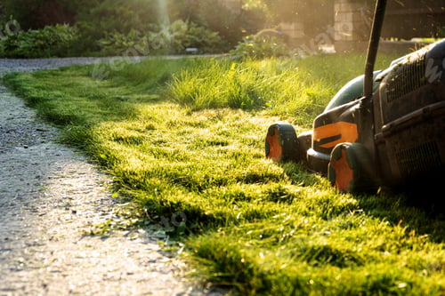 Preview: electric lawn mower, Freshly cut thick grass on the lawn,, low angle view. grass in the backyard