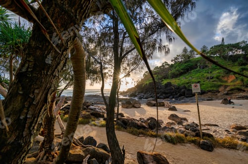 Preview: a view of a sandy beach with large rocks and trees