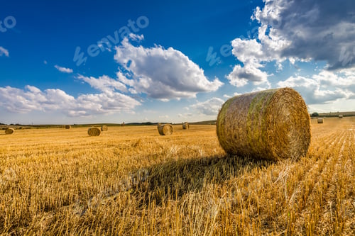 Preview: Yellow sheaf of hay on the field and blue sky