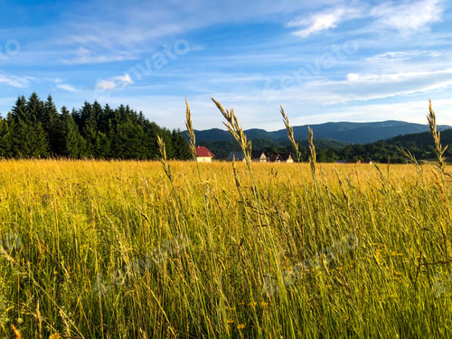Preview: Field and village