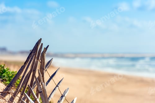 Preview: Wooden fence on an Atlantic beach in France