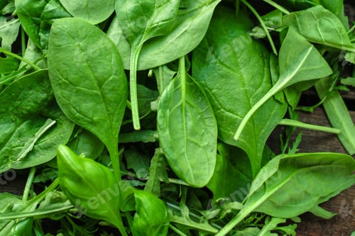 Preview: Healthy Salad, Leaves Mix Salad (Mix Micro Greens, Juicy Snack, Tomato). Food Background - Image