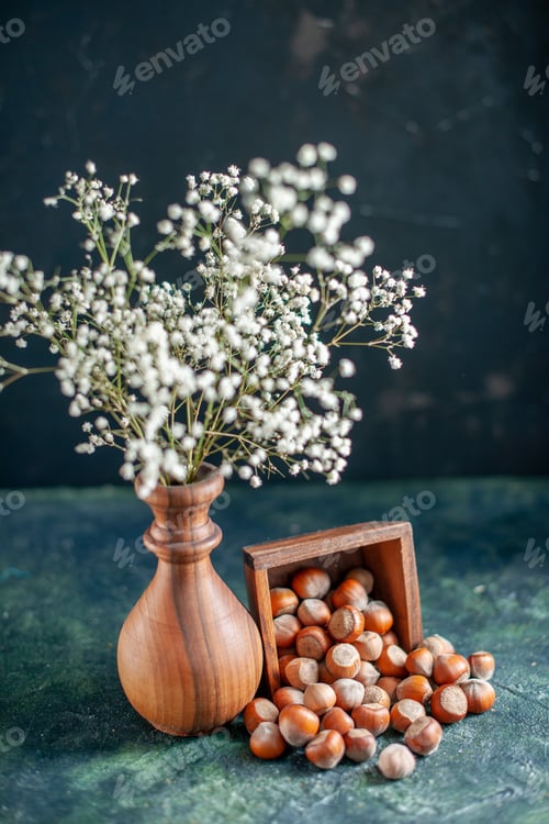 Preview: front view fresh hazelnuts on dark-blue background shell nut cips photo walnut peanut color snack