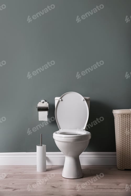 Preview: New ceramic toilet bowl in modern bathroom