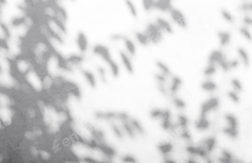Preview: Gray concrete wall with reflection of tree leaves, minimal