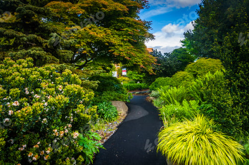 Aperçu: Gardens Along A Path At The Seattle Center, In Seattle, Washington.