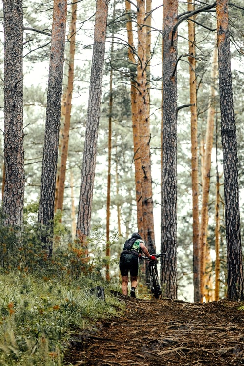 Preview: Cyclist Mountainbiker