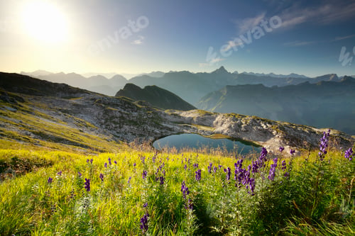 Preview: purple wildflowers over alpine lake