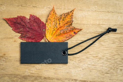 Preview: Autumn blank black label with maple leaves