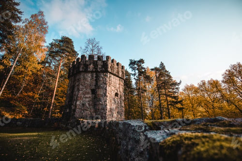 Preview: Low angle shot of Aulanko castle surrounded by autumn trees in daylight