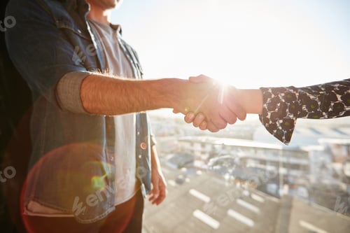Preview: Shaking hands with lens flare