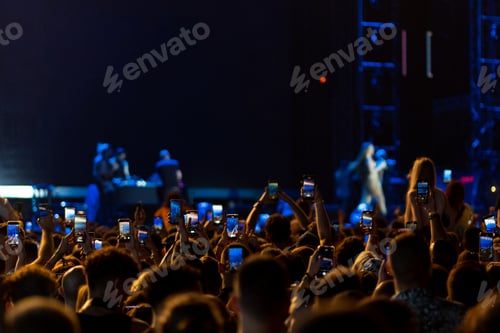 Preview: A crowd of people in front of the stage at a night concert