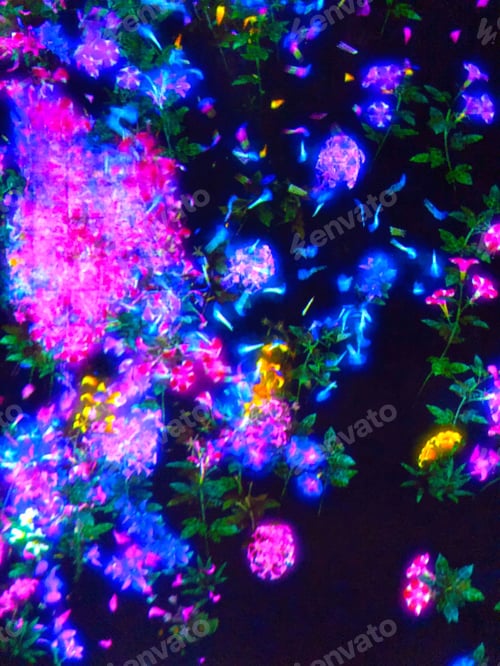 Preview: Floral illumination