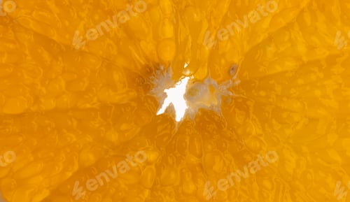 Preview: Micro close up of sliced orange and copy space