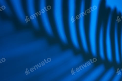 Preview: Beautiful fern leaves shadow colored background in artificial light