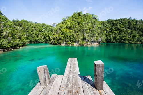 Preview: Sugba Lagoon in Siargao, Philippines