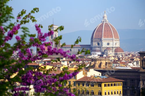 Preview: view of Florence at the sunrise time