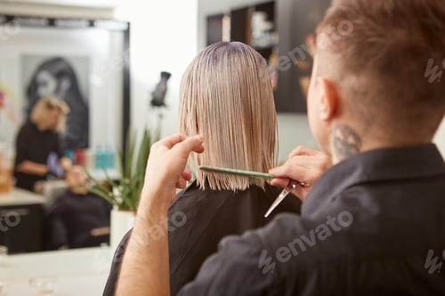 Preview: Hairdresser combing woman hair in beauty salon