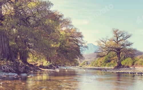 Preview: River in Mexico