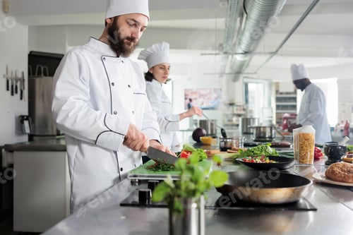 Preview: Gastronomy chef in restaurant kitchen preparing vegetable garnish for gourmet dish served at dinner