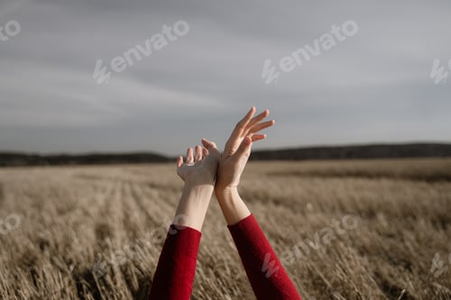 Preview: female hands with red sleeves on the background of wild nature