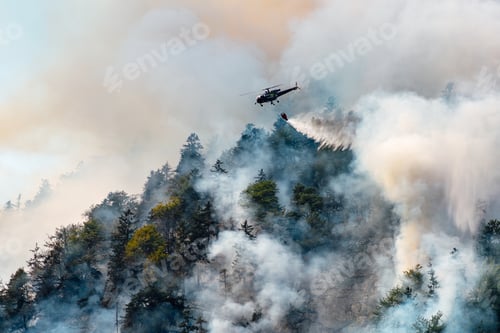 Preview: extinguishing a forest fire