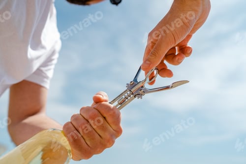 Preview: Hands of a man as he skillfully opens a bottle of white wine on the beach