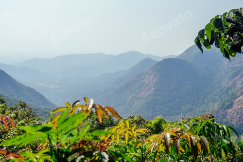 Preview: beautiful landscape nature of forest and mountain panorama background.