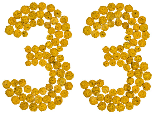 Preview: Arabic numeral 33, thirty three, from yellow flowers of tansy, isolated on white background