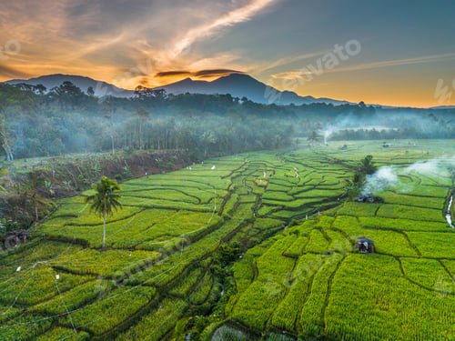 Preview: Beautiful morning view indonesia panorama landscape paddy fields