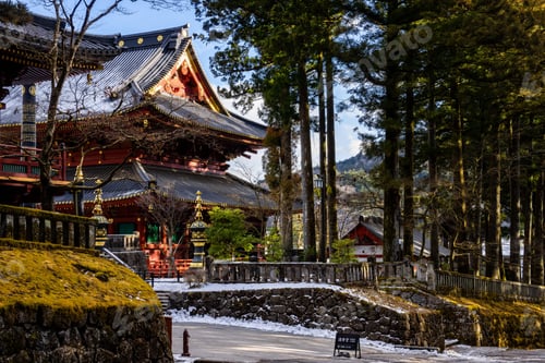 Preview: Ancient ornate shinto buddhist temple, shrine, and steps hidden in the forest at the Nikko Toshogu
