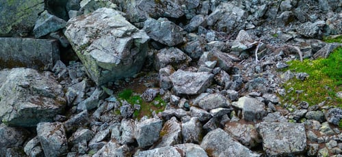 Preview: Rocky Boulder Field in the Canadian Mountain Landscape. Aerial Nature Background.