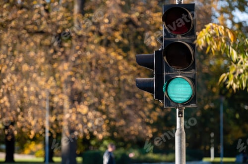 Preview: Green traffic light in semaphore closeup. Bright colored autumn background.