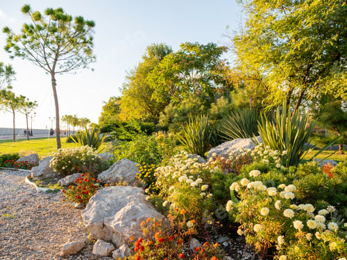 Preview: Urban landscaping. Flower bed with colorful plants and bushes.