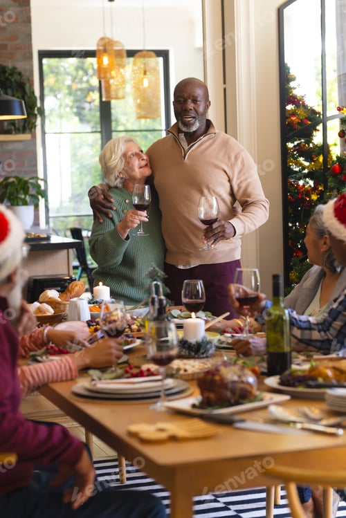 Preview: Happy diverse senior couple of friends toasting at christmas dinner in sunny dining room