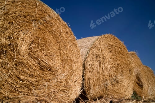 Preview: Straw pressed for animals