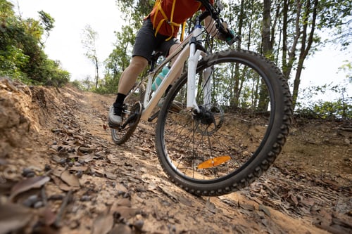 Preview: Woman cyclist cycling on mountain top forest trail