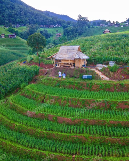 Preview: Terraced Rice Field in Chiangmai, Thailand. A couple of men and woman visit the green rice terraces