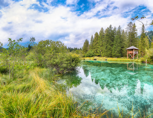 Preview: Amazing summer view on Zelenci lake with beautiful reflections in water.
