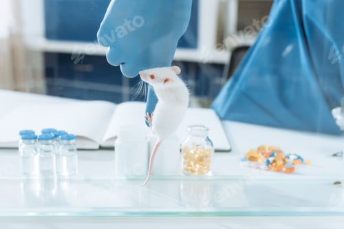 Preview: cropped view of veterinarian in latex gloves with white mouse on his finger near glass containers