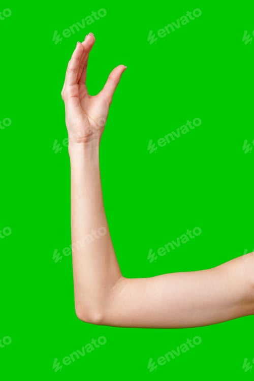 Preview: Woman's Arm Holding an Empty Space Against a Green Screen