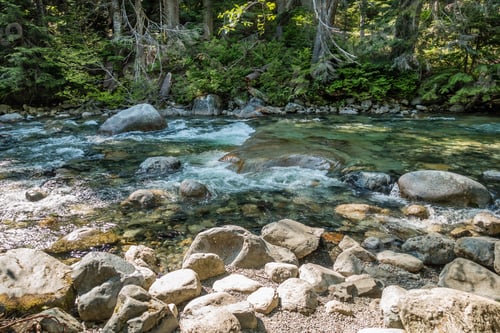 Preview: Clear Water Flows In Denny Creek In Washington State.
