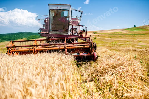 Preview: industrial harvesting combine harvesting wheat