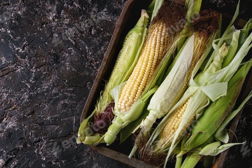 Preview: Young raw corn cobs