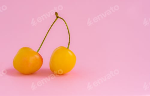 Preview: Yellow cherry on a pink background close-up.