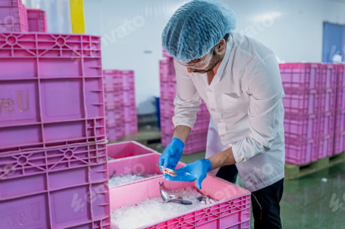 Preview: scientist inspecting seafood product processing in a clean factory.