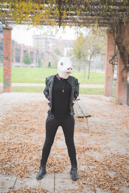 Preview: rabbit mask woman