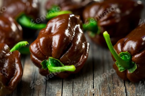 Preview: Habanero chocolate chili