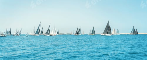Preview: Sailboats races in regatta near Brindisi under blue cloudless sky. Boats have white and black sails