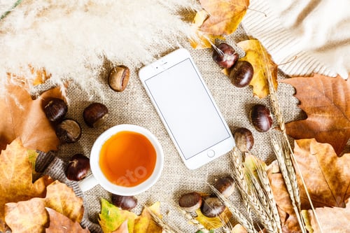 Preview: Autumn background